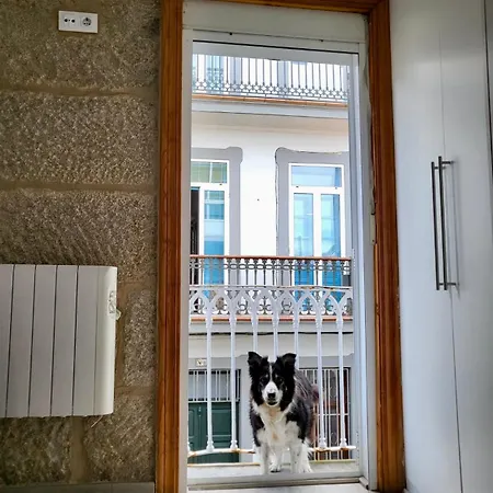 Céntrico Y Acogedor Appartamento *