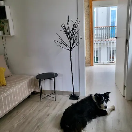 Céntrico Y Acogedor